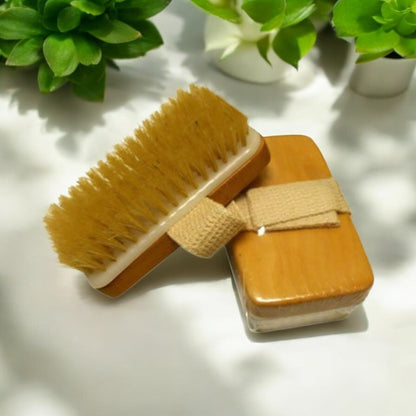 Dry Body Brush